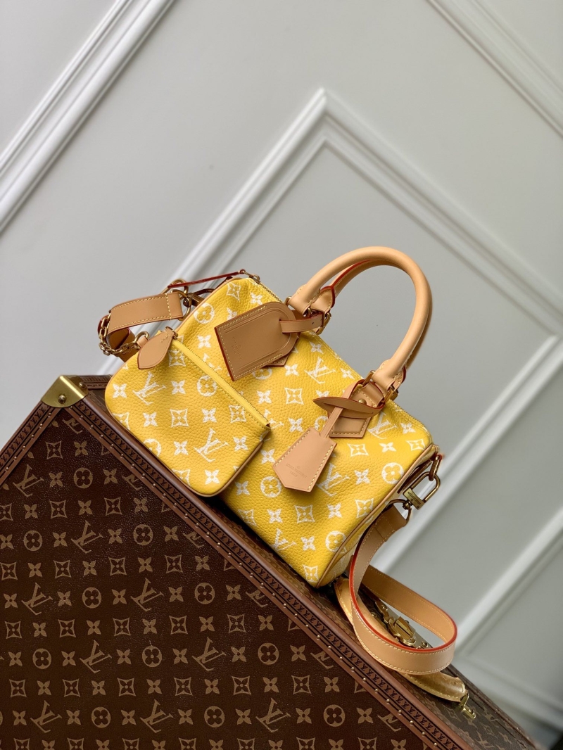 LV Travel Bags